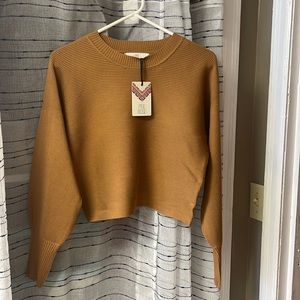 Camel cropped sweater